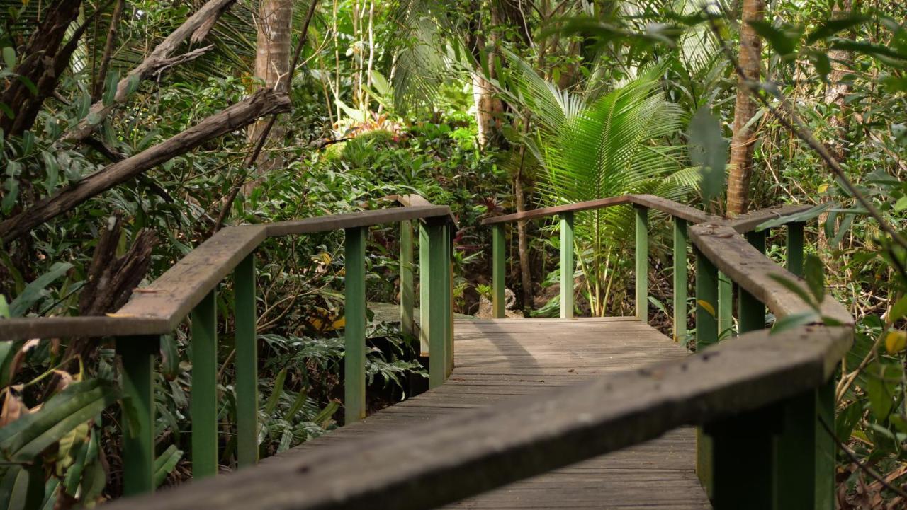 Casa Manglar Villa Puerto Jimenez Exterior photo