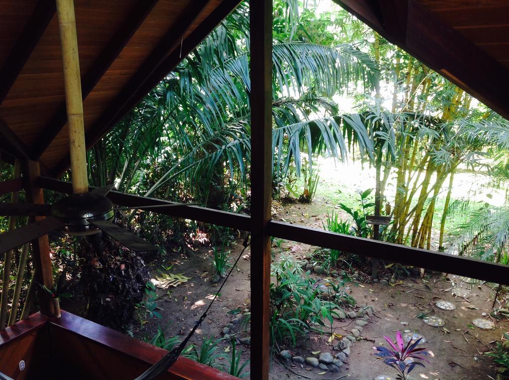 Casa Manglar Villa Puerto Jimenez Exterior photo