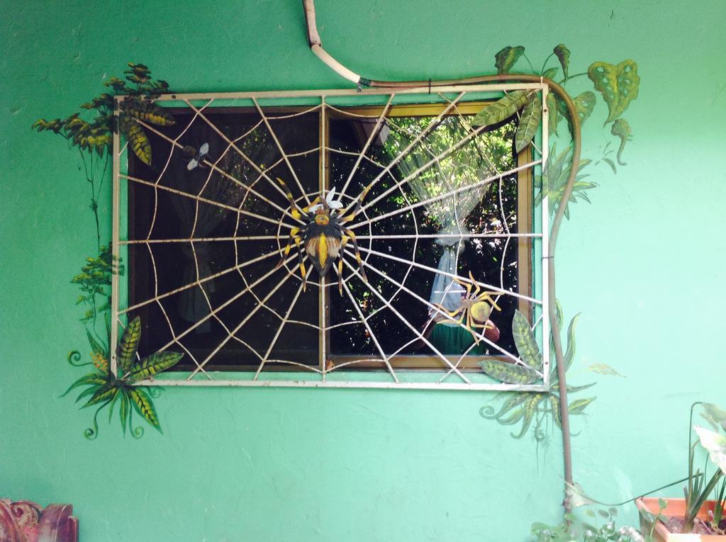 Casa Manglar Villa Puerto Jimenez Exterior photo